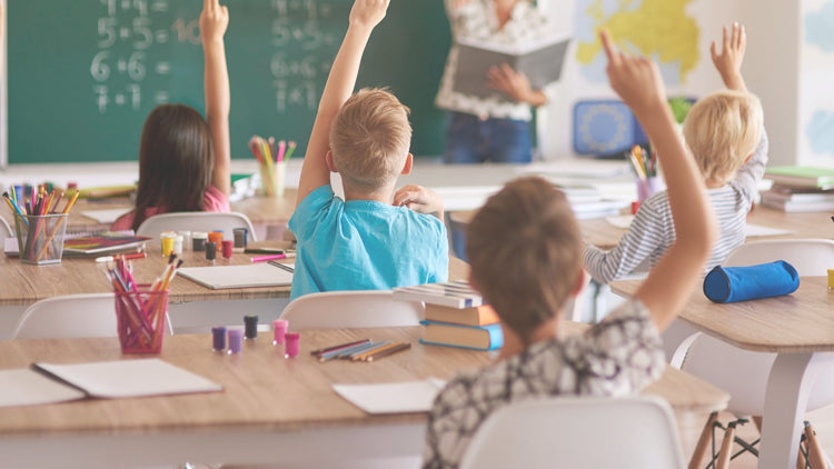 Flashcards & Visuals