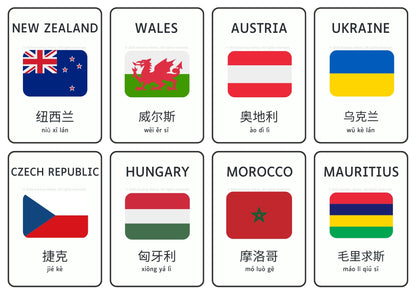 Country & Flag Flashcards/Posters in Chinese (Traditional & Simplified) 繁 & 简